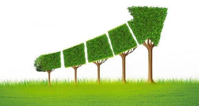 深圳長(zhǎng)石新能源 引領(lǐng)綠色革命，共創(chuàng)可持續(xù)未來(lái)